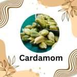 Cardamom Benefits